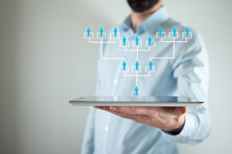 A digital platform designed to connect students, professionals, and businesses